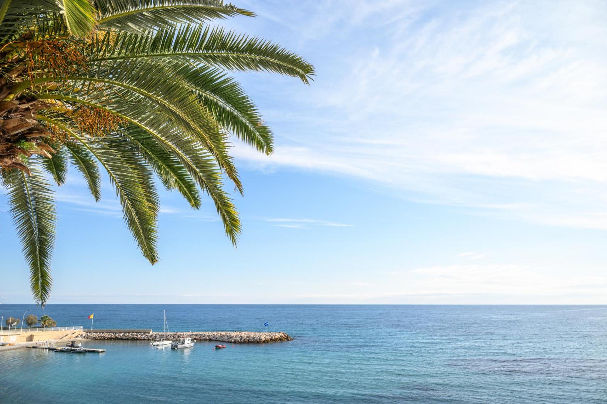 Le Coq Ligures - Air Conditioning - Seafront - Wifi Roquebrune-Cap-Martin Eksteriør bilde
